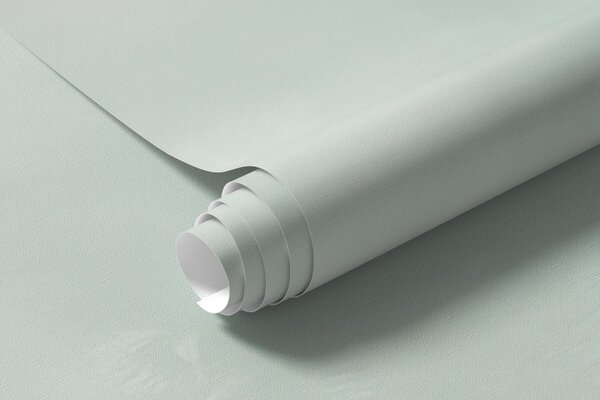 Carta da parati Delicate piante grasse ed elementi floreali in stile acquerello nei toni del verde, Carta da parati Natura, w02874 : Uwalls.it