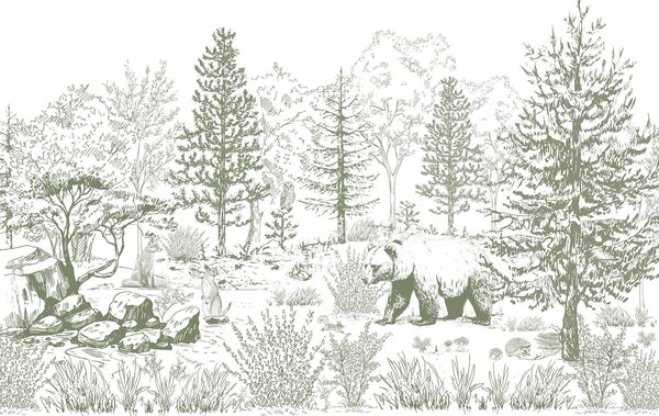 Carta da parati Vita nella foresta, alberi, animali selvatici, orso, volpe, gufo, cespugli, disegno a, Carta da parati Natura, w02929v2 : Uwalls.it