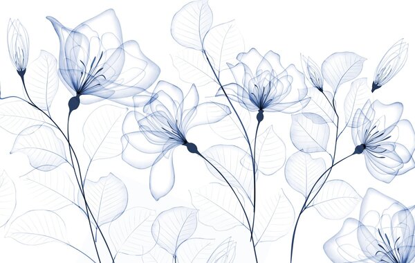 Carta da parati Delicati fiori blu minimalisti con petali e foglie trasparenti, su sfondo bianco, Carta da parati Acquerello, w08776 : Uwalls.it