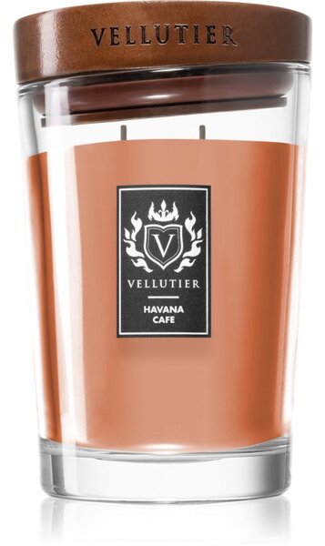 Vellutier Havana Cafe candela profumata 515 g