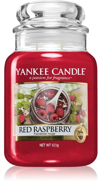 Yankee Candle Red Raspberry candela profumata 623 g