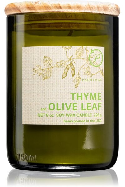 Paddywax Eco Green Thyme & Olive Leaf candela profumata 226 g