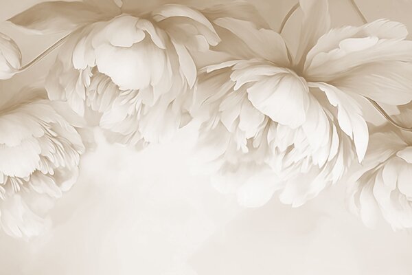 Carta da parati Peonie, Carta da parati Floreale, w03239 : Uwalls.it