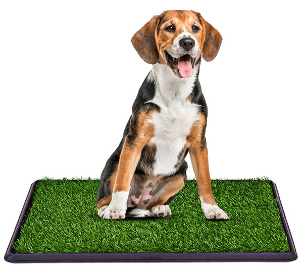 Costway Lettiera per cani WC con erba Tappetino toilette per cuccioli 51x76cm Verde