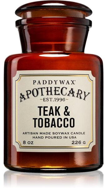 Paddywax Apothecary Teak & Tabacco candela profumata 226 g