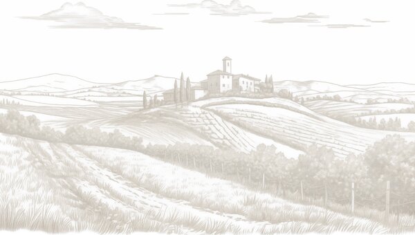 Carta da parati Paesaggi della Toscana, Italia, vigneti, natura, vecchio castello, colori beige, Carta da parati Provenzale, w03349 : Uwalls.it