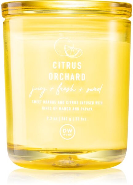 DW Home Prime Citrus Orchard candela profumata 264 g