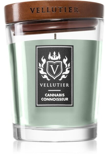 Vellutier Cannabis Connoisseur candela profumata 225 g