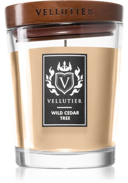 Vellutier Wild Cedar Tree candela profumata 225 g