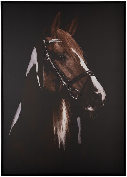 A. House Quadro Cavallo in Tela con Cornice 103x143 cm Difettato