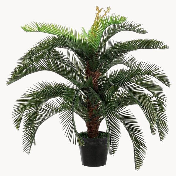 Pianta artificiale da esterno Palma Cycas, alt. 100 cm