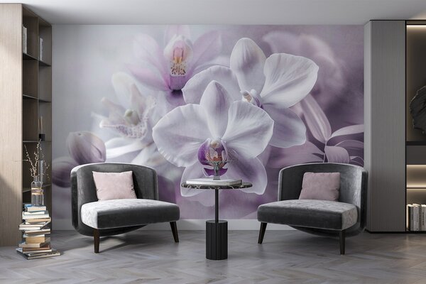 Carta da parati Fiori di orchidea delicati bianchi e lilla, luci soffuse e sfondo sfumato , Carta da parati Floreale, w09155 : Uwalls.it