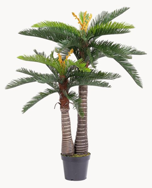 Pianta artificiale da esterno Cycas, alt. 150 cm