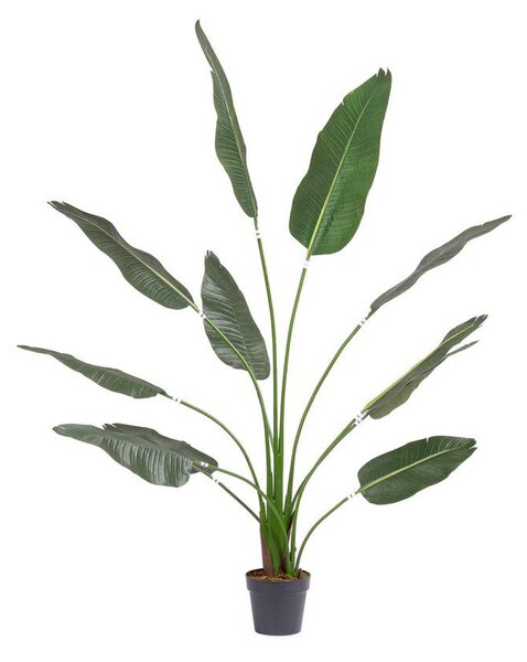 Pianta artificiale da esterno Strelitzia, alt. 180 cm