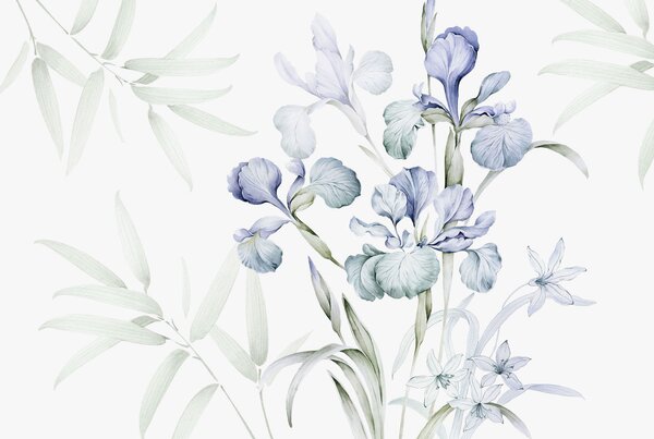 Carta da parati Delicati iris ad imitazione dell'acquerello, Carta da parati Floreale, w03955 : Uwalls.it