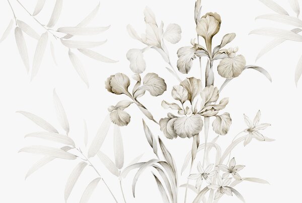 Carta da parati Iris, sfumature di beige, Carta da parati Floreale, w03955v2 : Uwalls.it