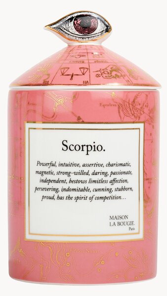 Candela profumata fatta a mano Scorpio (cassis & muschio bianco)