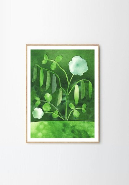 Poster 50x70 cm Peas in Bloom – Anna Ravn Bjørn – The Poster Club