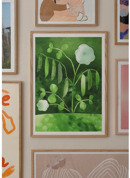Poster 50x70 cm Peas in Bloom – Anna Ravn Bjørn – The Poster Club