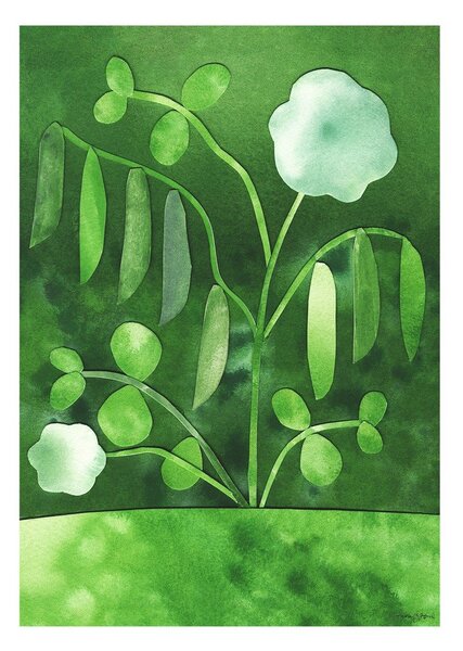 Poster 50x70 cm Peas in Bloom – Anna Ravn Bjørn – The Poster Club