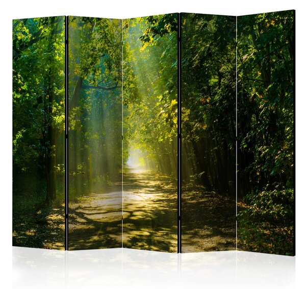 Paravento - Road in Sunlight II [Room Dividers] 225x172