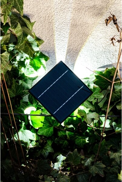 Immax 08487L - Applique a LED solare con sensore LED/2W/5V IP54