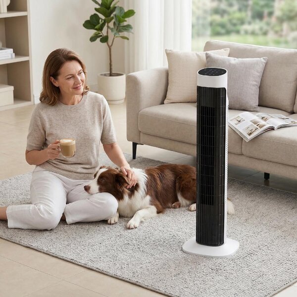 DecHome Ventilatore a Colonna Torre senza Pale Oscillante 3 Velocit con Telecomando e Timer colore Bianco/Nero - S5570WT
