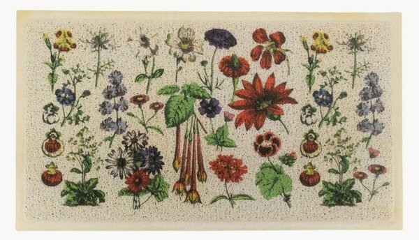 Zerbino lavabile Botanicals