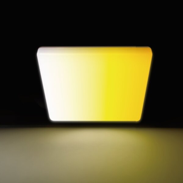 Aigostar - Plafoniera LED per bagno LED/18W/230V 3000K-6500K IP54 + telecomando