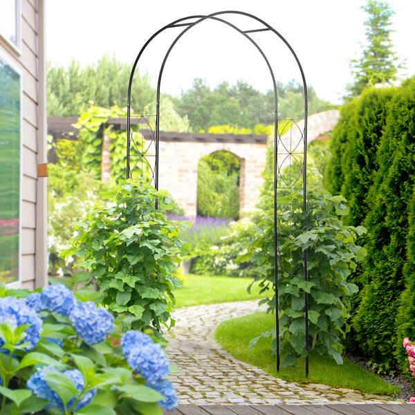 Outsunny Arco per Rose e Supporto per Piante Rampicanti in Metallo, 114x30x230cm, Nero|Aosom