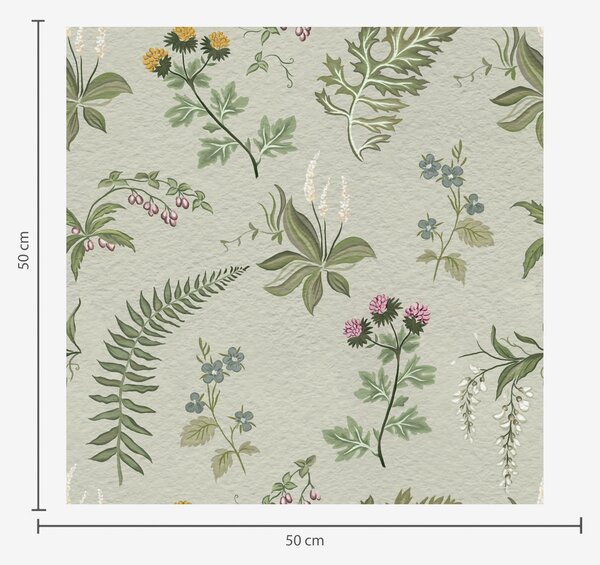Carta da parati Erbe botaniche e felci su sfondo grigio-verde chiaro, Parati fiori e piante classici, a00498 : Uwalls.it