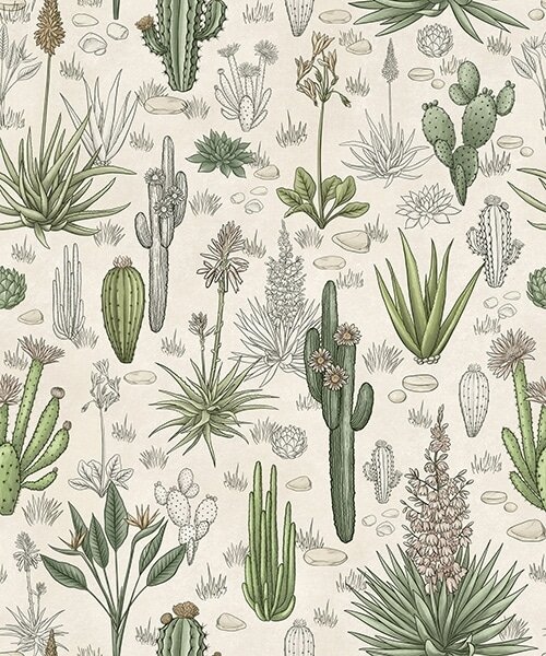 Carta da parati Cactus e piante grasse su uno sfondo caldo, stampa dettagliata, Parati fiori e piante classici, a00666 : Uwalls.it