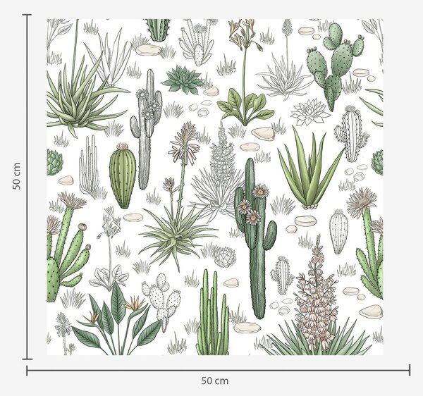 Carta da parati Cactus e piante grasse su sfondo chiaro, stile lineare, Parati fiori e piante classici, a00666v1 : Uwalls.it