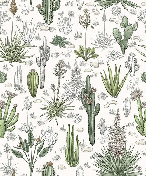 Carta da parati Cactus e piante grasse su sfondo chiaro, stile lineare, Parati fiori e piante classici, a00666v1 : Uwalls.it