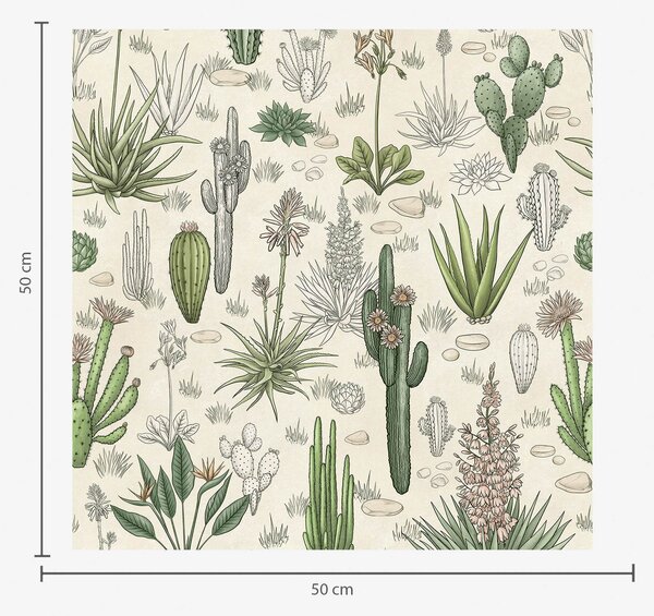 Carta da parati Cactus e piante grasse su uno sfondo caldo, stampa dettagliata, Parati fiori e piante classici, a00666 : Uwalls.it