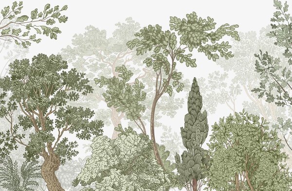 Carta da parati Alberi, Carta da parati Natura, w04851 : Uwalls.it