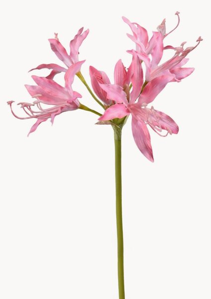 Set di 2 fiori artificiali Nerine