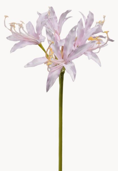 Set di 2 fiori artificiali Nerine