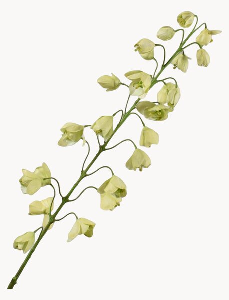Set di 2 fiori artificiali Fritillaria