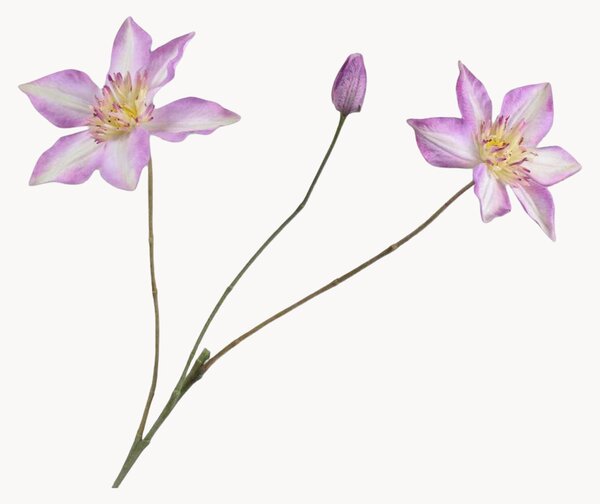 Set di 2 fiori artificiali Clematis