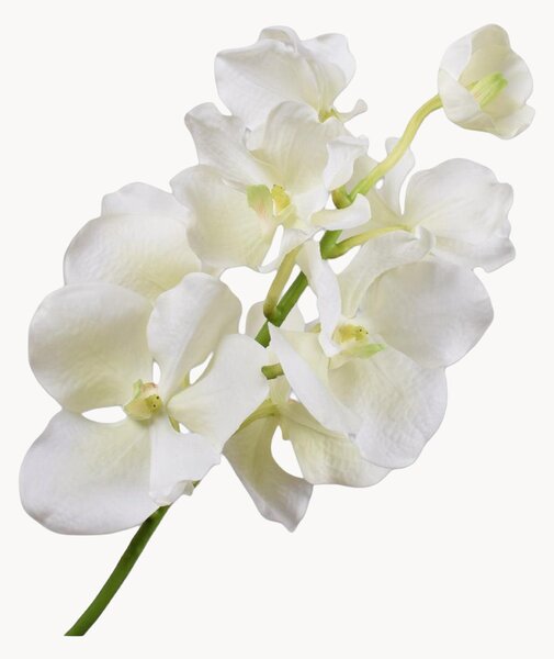 Set di 2 fiori artificiali Vanda