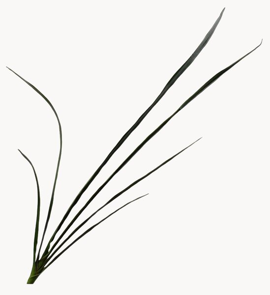 Set di 2 fiori artificiali Cymbidium