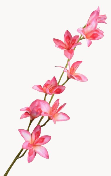 Set di 2 fiori artificiali Gladiolus