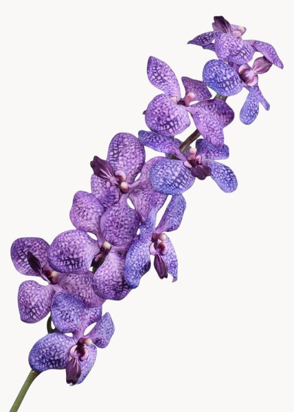 Set di 2 fiori artificiali Vanda