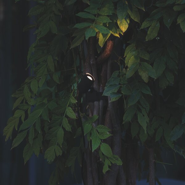 Applique Esterno Koala LED 3W Luce Calda Nero IP65 Ideal Lux