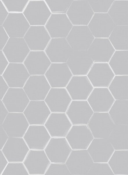 Carta da parati Esagoni tridimensionali grigio chiaro con ombre morbide, Parati astratta classici, a01059v1 : Uwalls.it