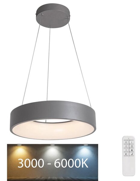 Rabalux - Lampadario LED dimmerabile su filo LED/24W/230V tondo + TC 3000-6000K