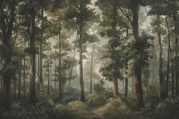 Carta da parati Illustrazione di una foresta con nebbia, alberi ad alto fusto e un sentiero, Carta da parati Natura, w05089 : Uwalls.it