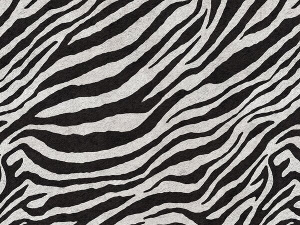 Wild cuscino in collezione Wild in microfibra impermeabile zebra