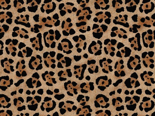 Wild cuscino in collezione Wild in microfibra impermeabile giaguaro